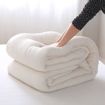 定制新疆棉被纯棉花被子被芯手工棉絮床垫被褥子加厚保暖全棉单人