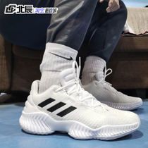 Adidas阿迪达斯男鞋Pro Bounce低帮缓震训练实战篮球鞋FW0905 03