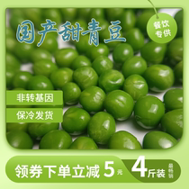 新鲜甜青豆豌豆米青豆粒鲜豌豆甜豆新鲜碗豆新鲜绿色蔬菜可商用