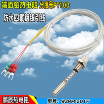 端面热电阻WZPM-201电阻pt100防水温度探头四氟镀银温度传传感器