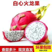 越南新鲜白心火龙果9斤白肉火龙果当季孕妇热带水果整箱包邮
