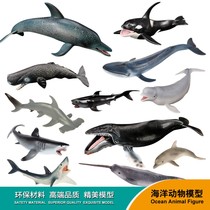 仿真海洋模型动物套装大白鲨巨齿鲨海豚鲨鱼玩具儿童实心塑胶摆件