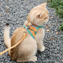 猫咪牵引绳防挣脱外出专用遛猫绳溜猫链子宠物胸背带猫绳子小型犬