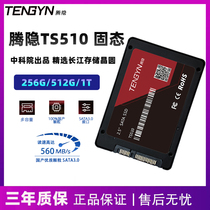 中科院出品腾隐TS510 256G512G固态硬盘SATA3.0长江存储颗粒2.5寸