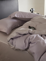 100支长绒棉琉璃紫色裸睡四件套全棉1.5m1.8公寓床上用品床单被套