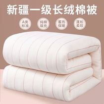 新疆棉絮被芯被子棉被冬季加厚8斤幼儿园学生宿舍专用单人床1.5米