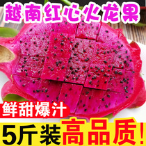 越南红心火龙果5斤装新鲜红肉火龙果孕妇水果当季现摘金都包邮