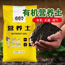 通用型营养土种菜养花专用土有机土肥料多肉花卉花土发酵土壤疏松