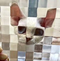 双方格立体压花艺术玻璃马赛克猫宠物搞怪拍照个性创意摄影像道具