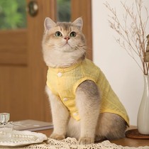 小猫猫咪衣服夏季薄款轻薄透气布偶英短金渐层春夏季狗狗宠物衣服