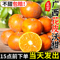 广西武鸣花皮沃柑9斤新鲜大果当季水果砂糖蜜橘柑橘桔子整箱包邮