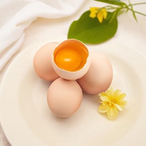 【雷珏】新鲜土鸡蛋农家散养正宗草鸡蛋笨柴鸡蛋柴鸡蛋10枚整箱