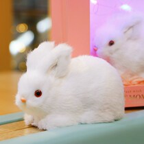 2023兔年兔子玩偶毛绒玩具儿童新年礼物女孩可爱小白兔