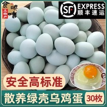 【顺丰包邮】绿壳乌鸡蛋新鲜鸡蛋正宗30枚农家散养柴草绿皮土鸡蛋