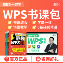 wps学习视频教程书籍表格处理office教程高效办公一本通WPS书课包