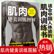 【9.9包邮】肌肉健美训练图解 中国人强身健体男性体格塑造健身教练不外传的周期力量肌力训练法核心基础运动体能无器械健美书籍