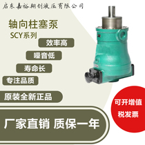 启东高压油泵柱塞泵 25/40/63/80/160SCY14-1B高压油泵液压泵液压
