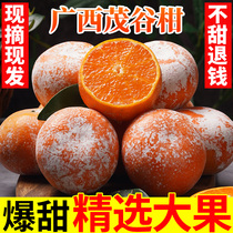 正宗广西茂谷柑应季水果新鲜沃柑10薄皮脏脏柑橘石灰柑桔子包邮