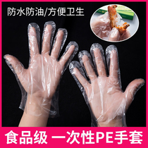 家用一次性pe透明手套防护特厚食品级即购速发
