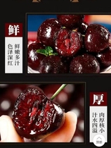 【顺丰空运】智利车厘子爆甜黑珍珠桑提娜进口新鲜水果整箱礼盒