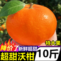 广西超甜沃柑新鲜10斤当季水果大果桔子皇帝沙糖蜜橘砂糖柑橘整箱