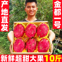 广西红心火龙果新鲜10斤当季海现摘南孕妇水果金都一号整箱红肉果