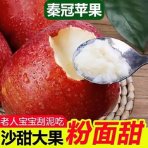 陕西秦冠苹果粉面沙甜新鲜水果10斤当季现摘沙瓤宝宝辅食刮泥苹果