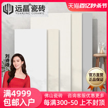 远晶600x1200白坯通体柔光天鹅绒奶油色微水泥瓷砖客厅地砖厨卫墙