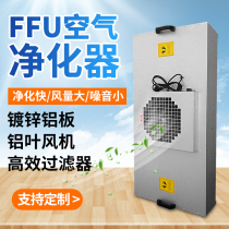 FFU空气净化器工业百级层流罩无尘车间风机单元洁净棚高效过滤器