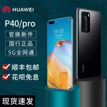Huawei/华为 P40 5G 国行正品 P40 Pro 全网通鸿蒙系统智能手机