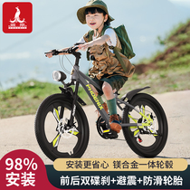 凤凰儿童自行车女孩6-12岁青少年中大童男孩山地变速学生20寸单车