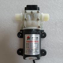 普兰迪微型直流隔膜水泵12V24V25W35W45W电动喷雾器高压抽水泵