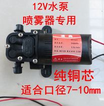 12v伏电动喷雾器高压水泵电机马达水钻微型自吸隔膜泵高压