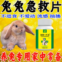 兔子常备药宠物兔拉肚子拉稀专用兔病专家驱虫药球虫肠炎预防治疗