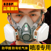 3m防毒面具防甲醛6005喷漆化工气体防护面罩专业防尘防农药呼吸罩