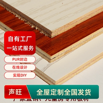 声旺板材E1级5mm多层板免漆板生态板细木工板家具板衣柜单面背板
