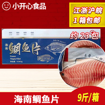 海南生鲷鱼片海南鲷鱼片刺身料理商用海鲜食材冷冻整箱半成品
