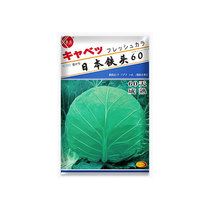 日本铁头甘蓝种籽包菜种子卷心菜大头菜籽圆白菜菜种子莲花白种子