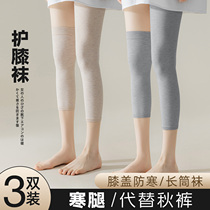 空调护膝袜子女士防滑纯棉膝盖袜关节保暖护腿套长筒夏季薄款孕妇