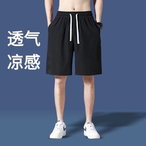 夏季短裤男士2024新款外穿冰丝透气薄款休闲中裤大码宽松五分裤子