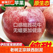 陕西秦冠苹果当季应季新鲜水果粉甜面红富士整箱包邮一级直发脆甜