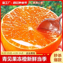 青见果冻橙新鲜橙子水果当季整箱四川孕妇非爱媛38号果冻大果优选