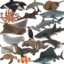 单个仿真动物海洋模型实心海豚白鲸鲨鱼企鹅章鱼寄居螃蟹海星海马