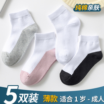 儿童袜子纯棉夏季薄款短袜白色网眼男女童中筒大童耐脏学生运动袜