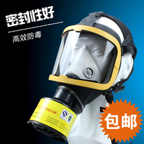 防毒面具汽车喷漆农药化工工业防粉尘全面具防甲醛胶防尘全面罩