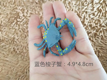 仿真海洋动物 小号蓝色帝王蟹 环保材质软胶无味儿童认知玩具摆件