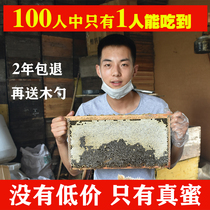 纯蜂蜜100%野生纯天然枣花蜜农家自产纯正野酸枣蜂蜜pk洋槐蜜500g