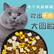 猫粮成猫幼猫全价营养冻干猫粮大颗粒增肥发腮奶糕粮流浪猫试吃装