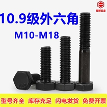 M10M12M14M16M18 10.9级外六角螺丝加长高强度螺栓全牙外六方螺杆