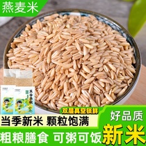 燕麦米全胚芽米500g燕麦仁东北农家自产五谷杂粮搭红豆黑米粥